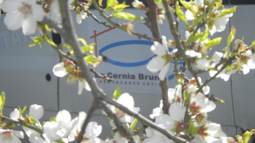 Case Vacanze La Cernia Bruna Isola di Ustica エクステリア 写真